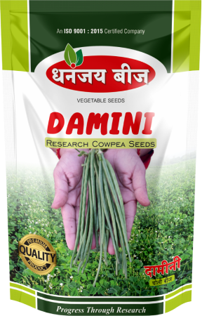 Damini