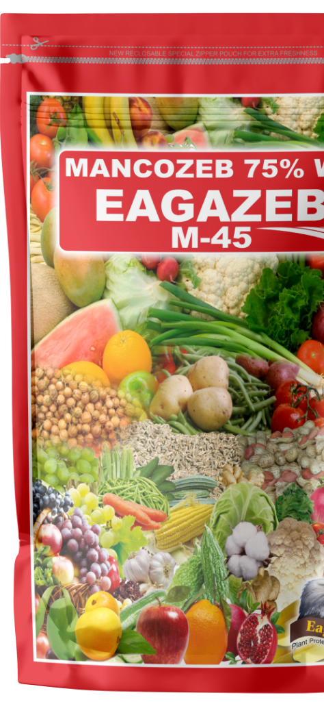 Eagazeb